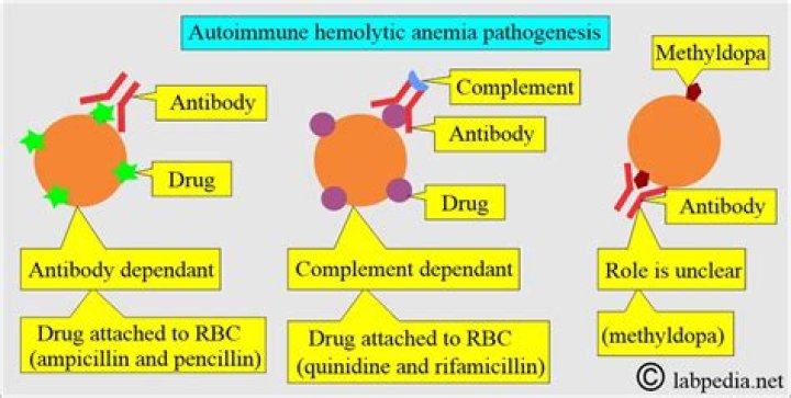 Can penicillin cause hemolytic anemia?