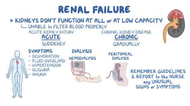 Can postrenal azotemia cause kidney failure?