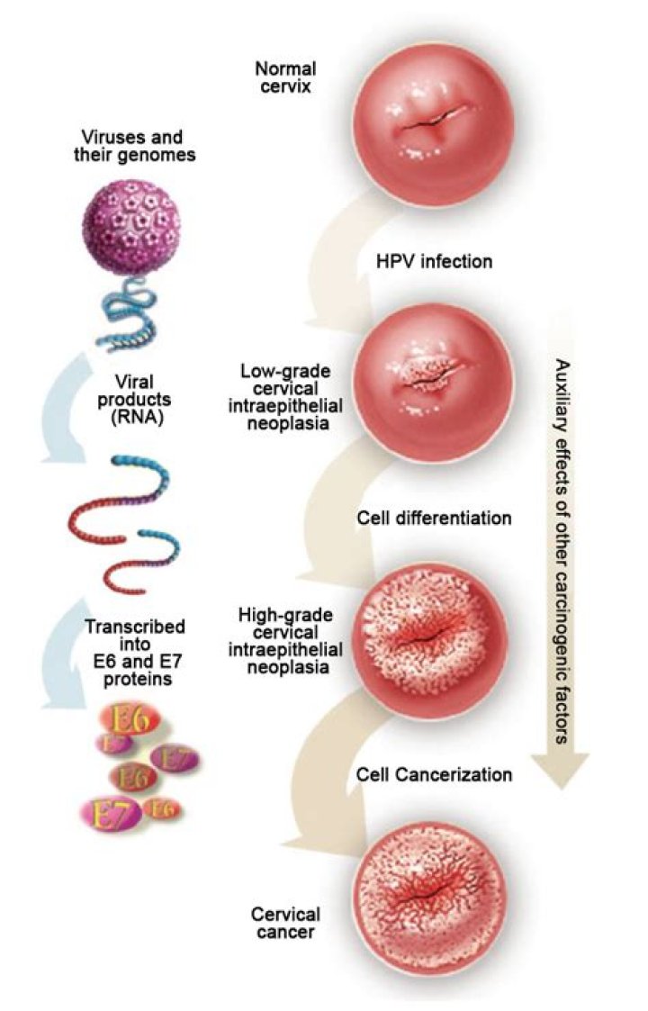 Can precancerous cervical cells affect pregnancy?