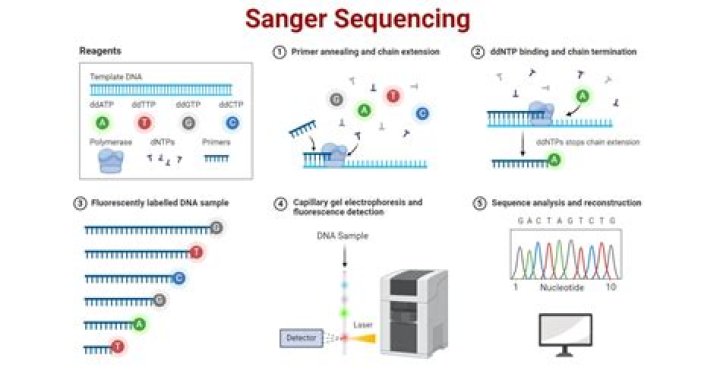 Can Sanger sequencing detect copy number variations?