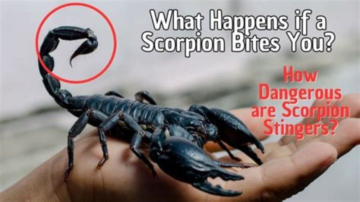 Can Scorpion breathe fire?