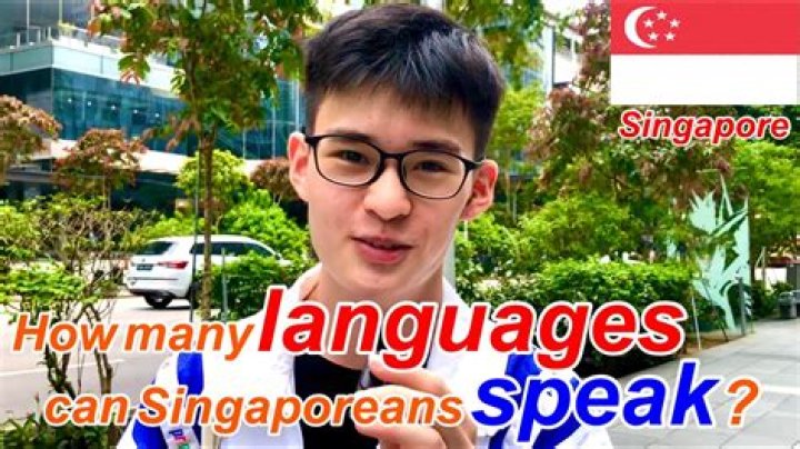 Can Singaporean speak Mandarin?