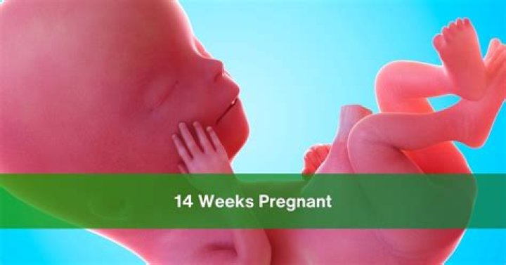 Can smoking at 14 weeks pregnant hurt the baby?