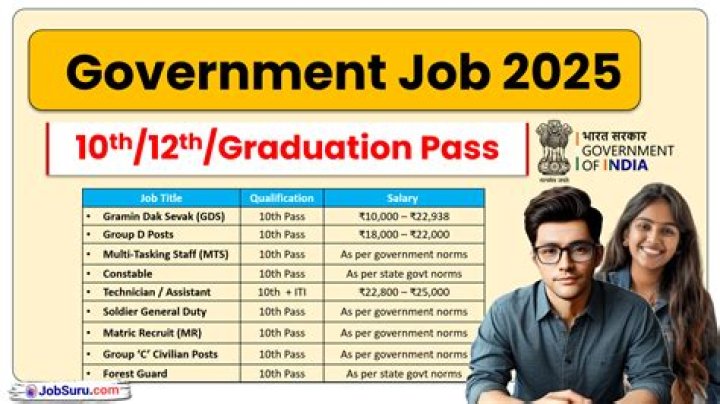 Can software engineers get government job?