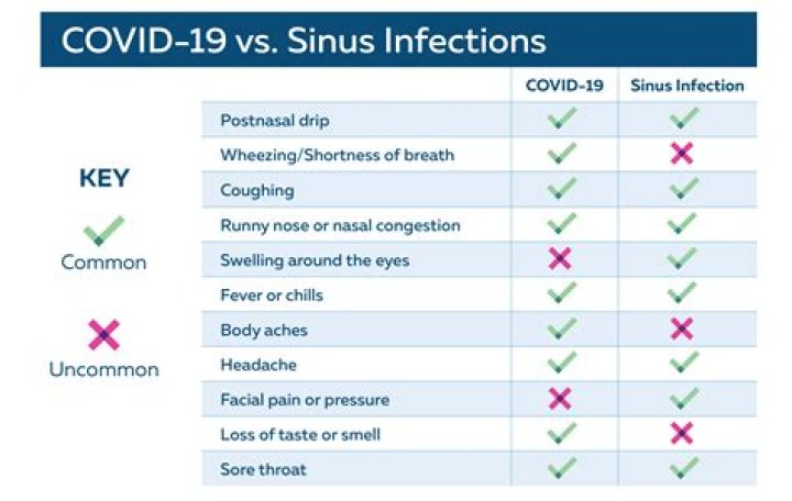 Can u have sinus pain without congestion?