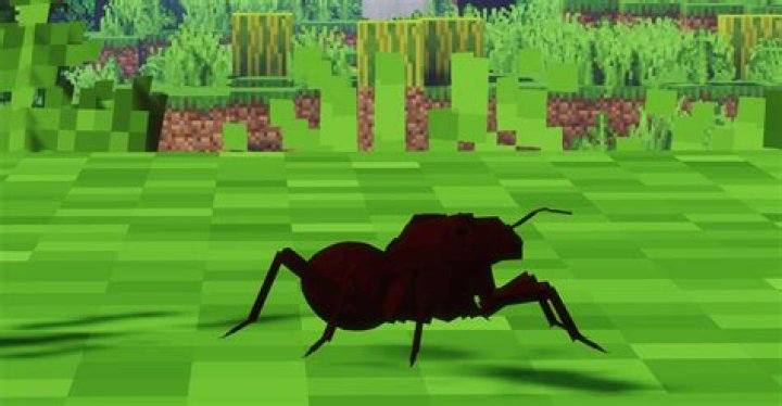 Can weaver ants kill a human?