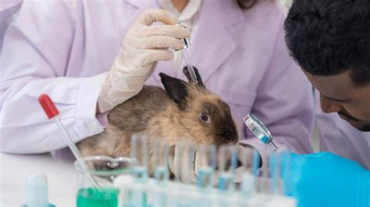 Can you adopt animals that have been tested?