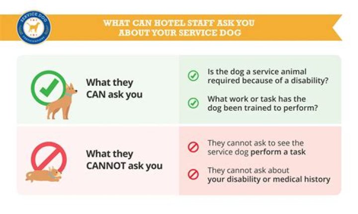 Can you ask for proof of service dog in California?