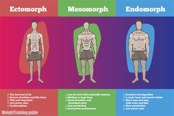 Can you be a mix of endomorph and mesomorph?