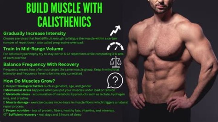 Can you build muscle with 20 rep sets?