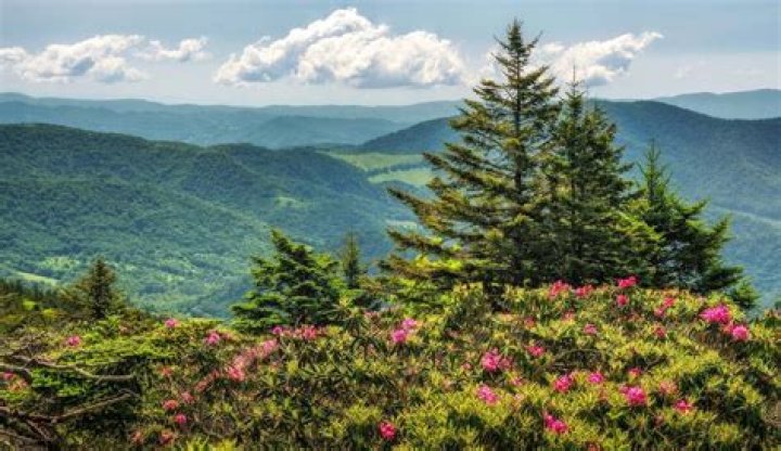 Can you camp on top of Roan Mountain?