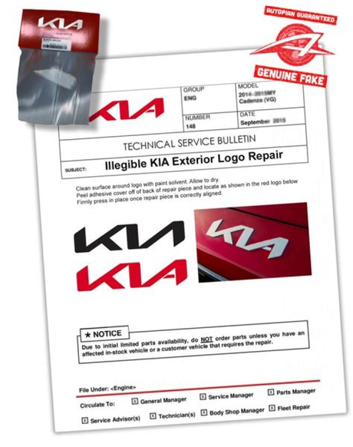 Can you change Kia logo?