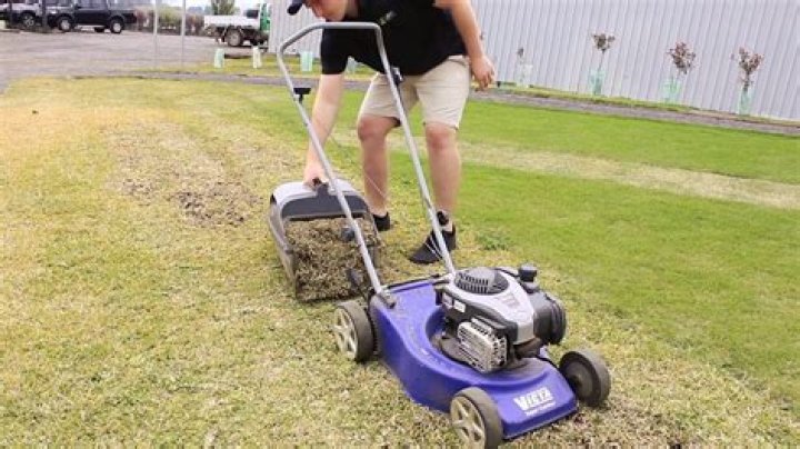 Can you Dethatch with a lawn mower?