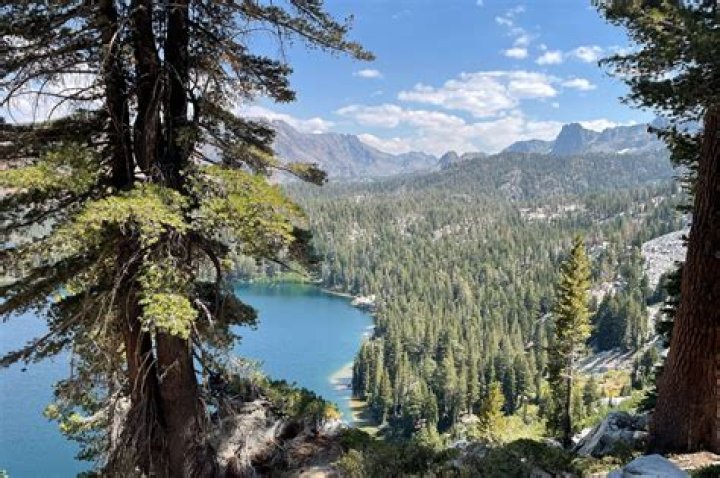 Can you drive through Yosemite to get to Mammoth Lakes?