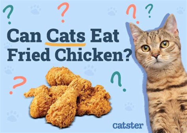 Can you eat fried chicken on a renal diet?