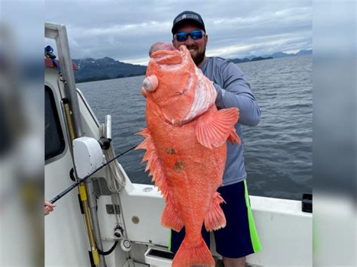 Can you eat monster grouper?