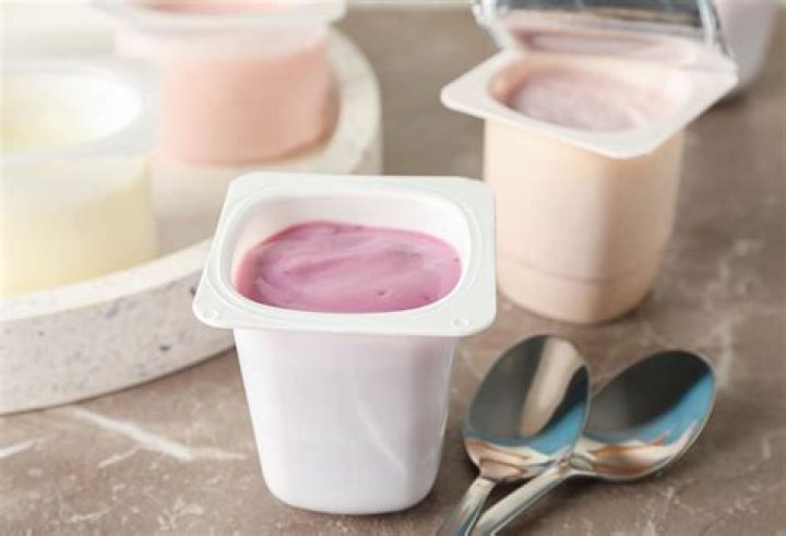 Can you eat yogurt on a neutropenic diet?