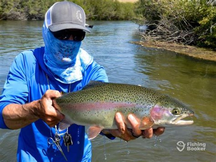 Can you fish in Lake Levinsky?