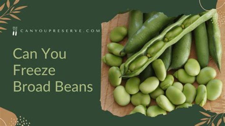 Can you freeze broad beans uncooked?
