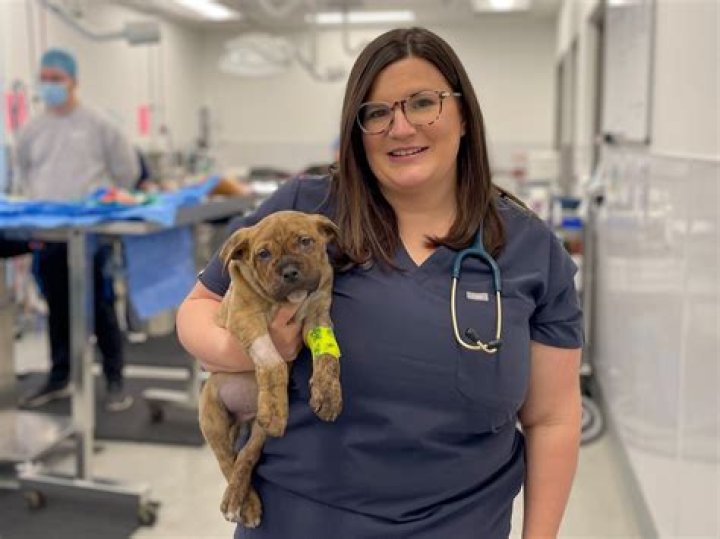 Can you get a degree in animal care?