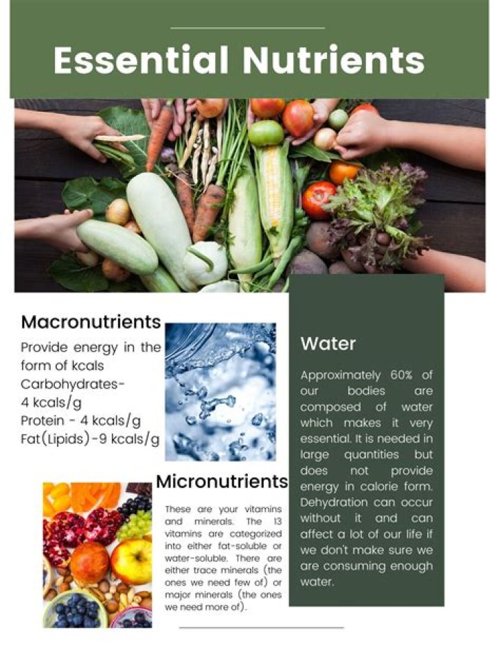 Can you get nutrients from canned vegetables?