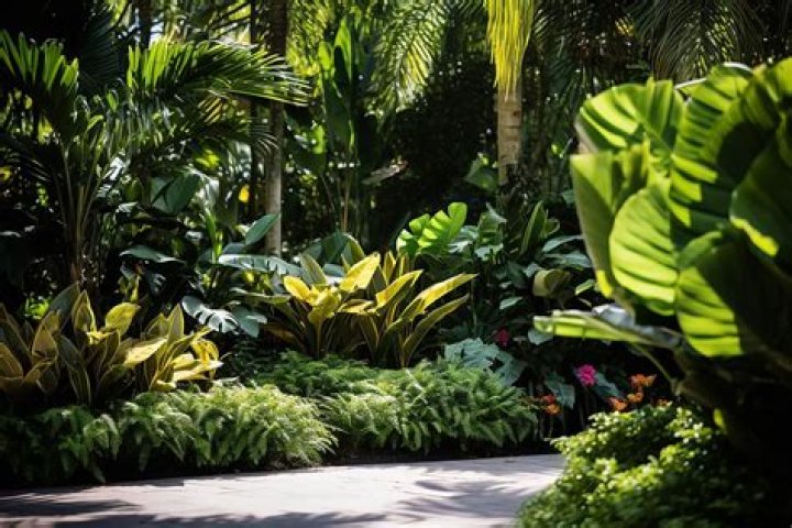 Can you grow tropical plants in Houston?