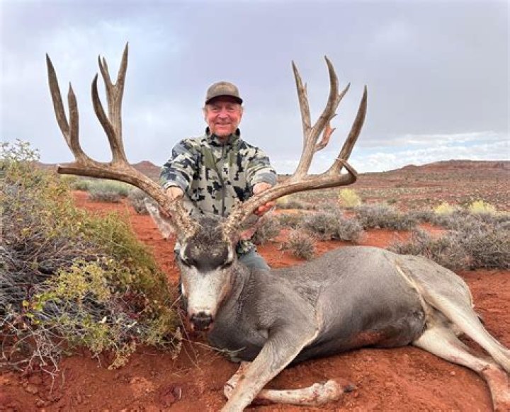 Can you hunt mule deer in Texas on public land?