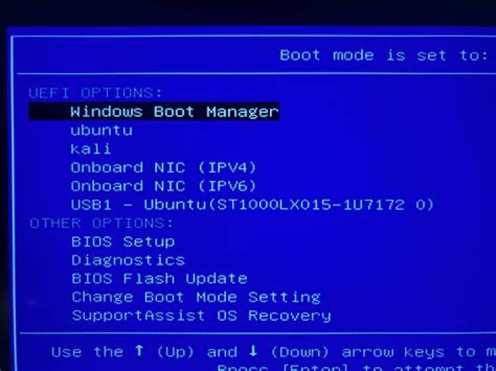 Can you just boot into BIOS?