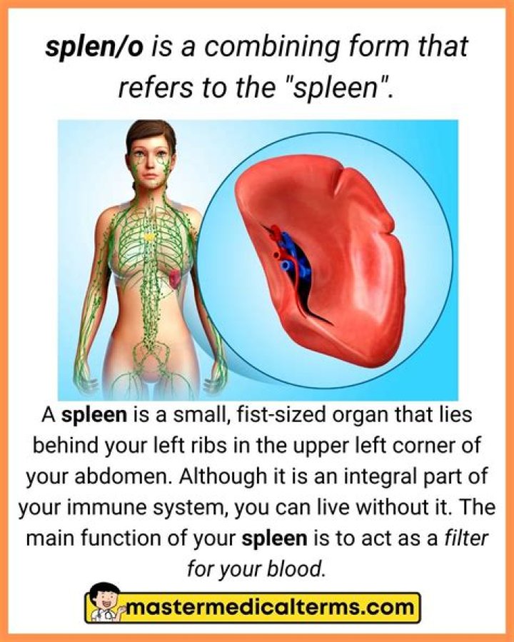 Can you live without the reticular formation?