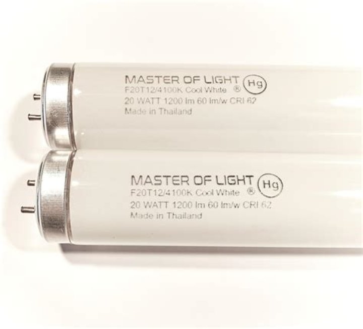 Can you still get T12 bulbs?