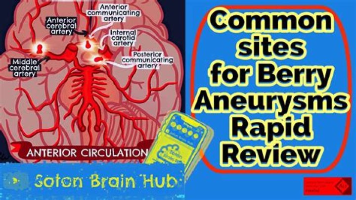 Can you survive a berry aneurysm?