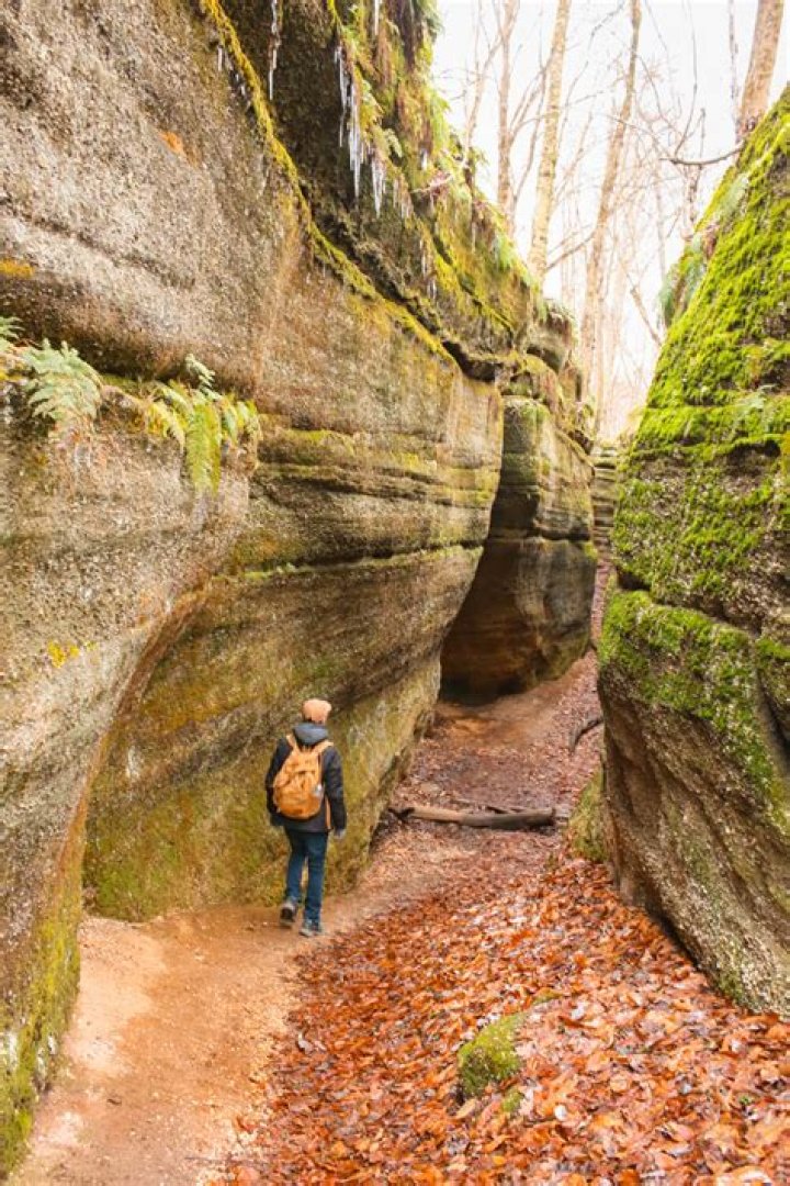 Can you swim at Ledges State Park?