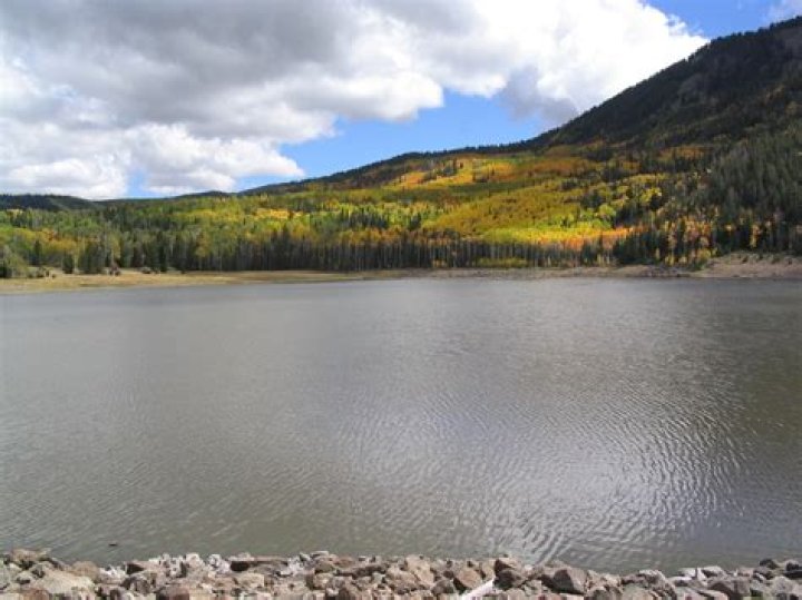 Can you swim in Locust Lake PA?