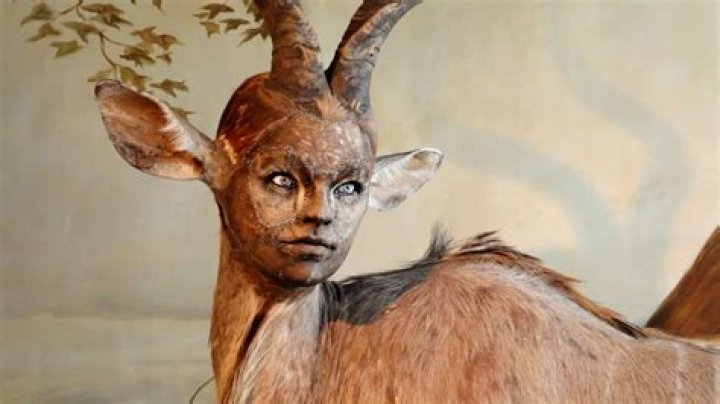 Can you taxidermy a person?