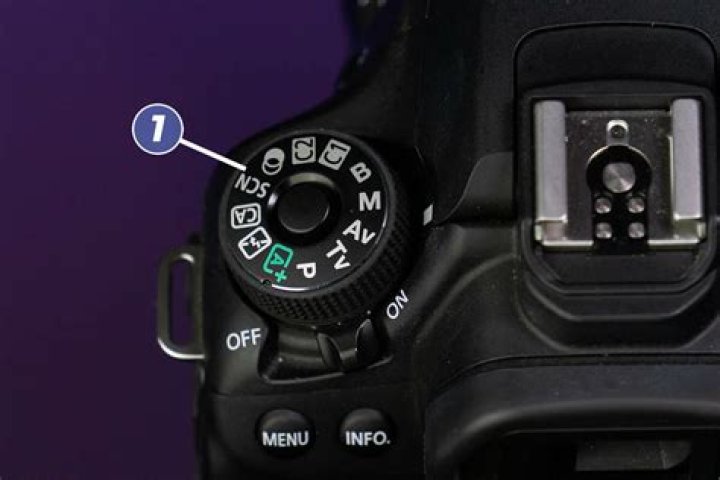 Can you use a speed booster on a DSLR?