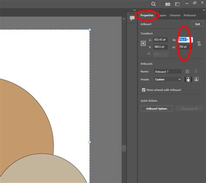 Can you use a stylus with Adobe Illustrator?