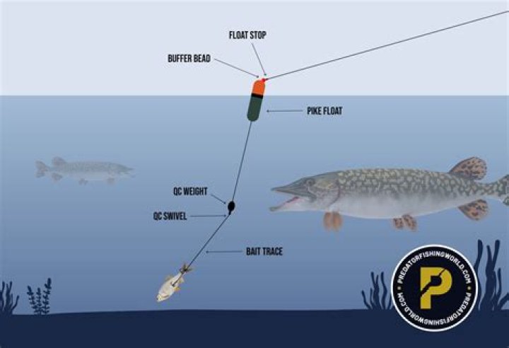 Can you use braid for slide baiting?