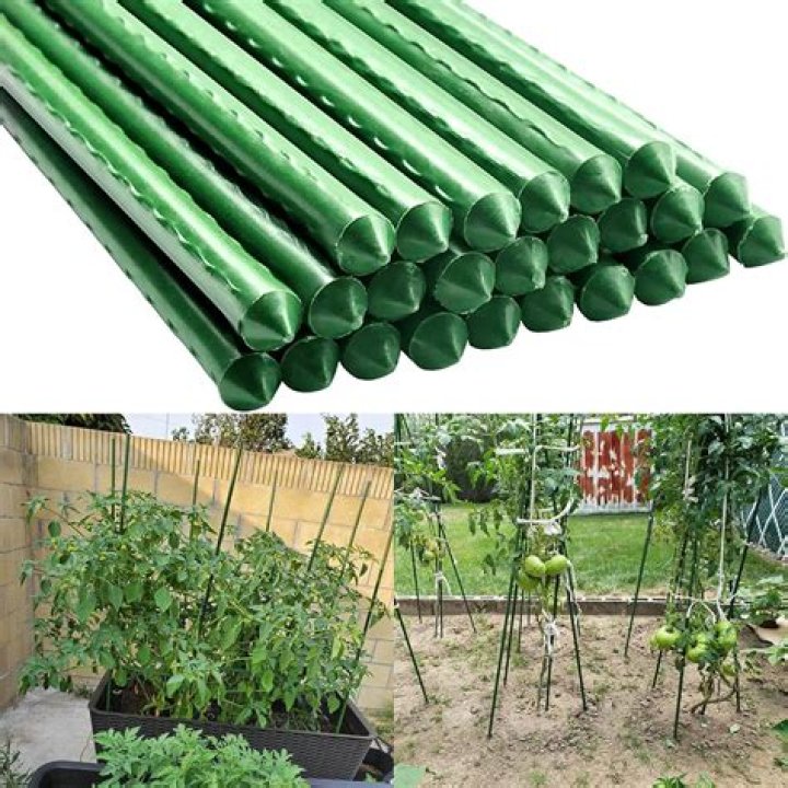 Can you use PVC pipe for tomato stakes?