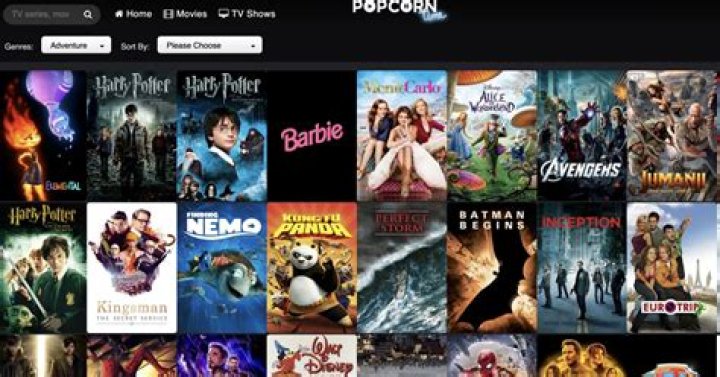 Can you watch popcorn time online?