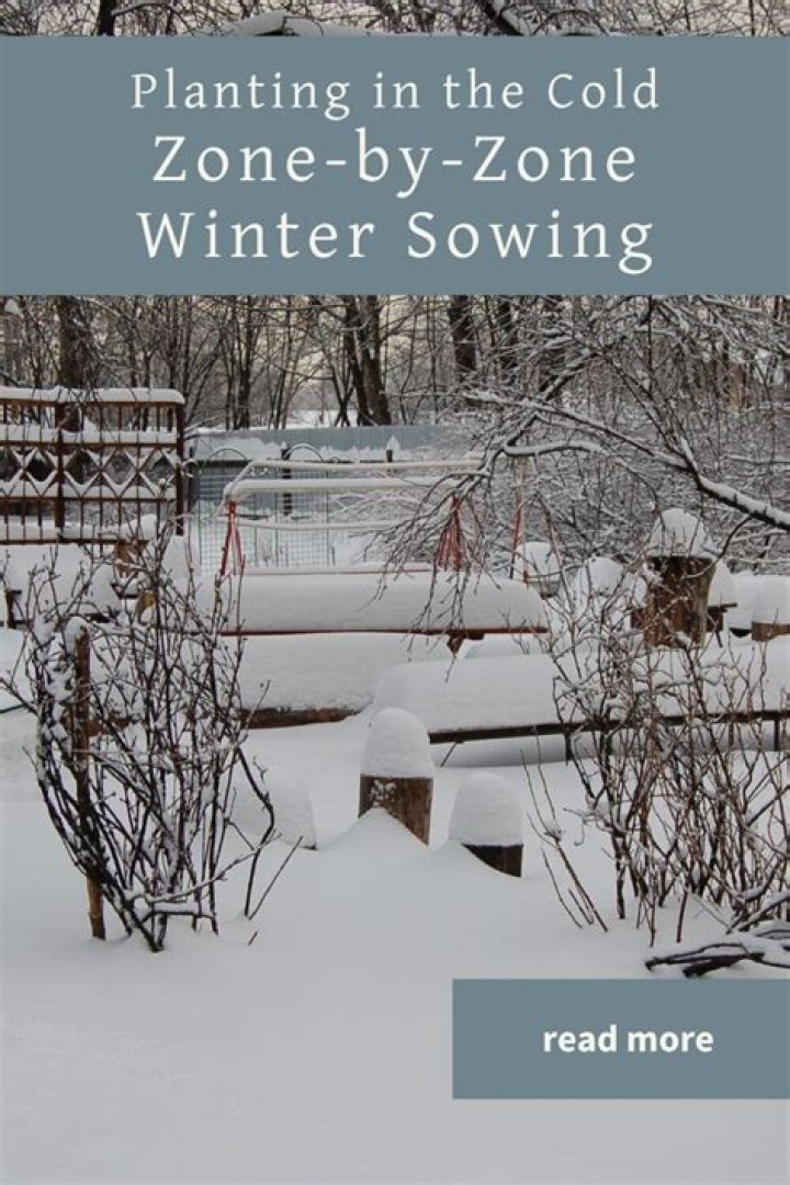 Can you winter sow in Zone 3?