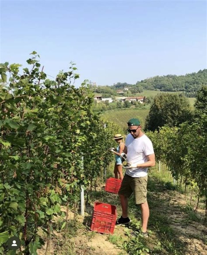 Can you WWOOF in USA?