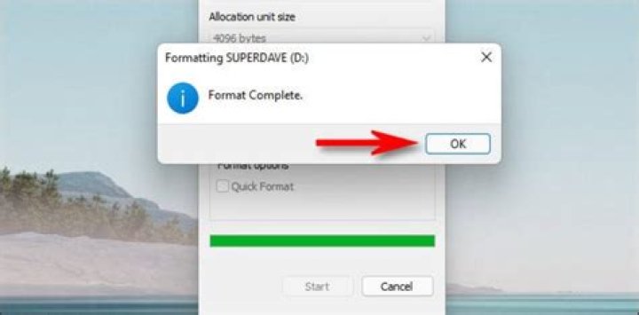 Come formattare un hard disk interno dal BIOS?