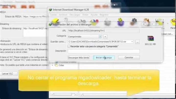 Como descargar archivos de Internet Download Manager?