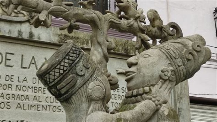 Cual es el origen de la gestosis?