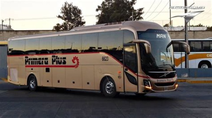 Cuales son los descuentos de autobuses Primera Plus?