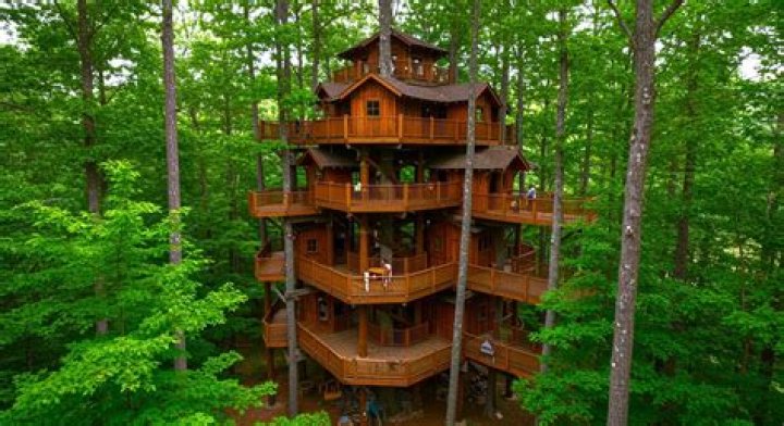 Did the treehouse in Crossville Tennessee burn down?