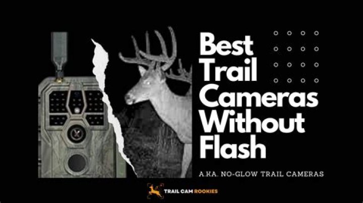 Do all trail cameras flash?