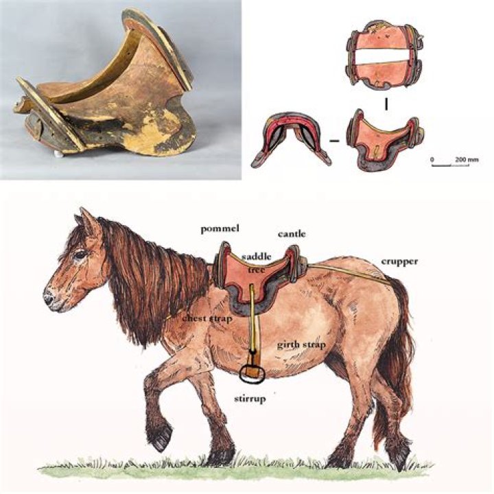 Do Australian saddles have horns?