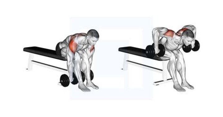 Do bent-over dumbbell rows work rear delts?