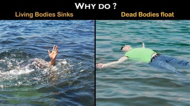 Do bodies float or sink?